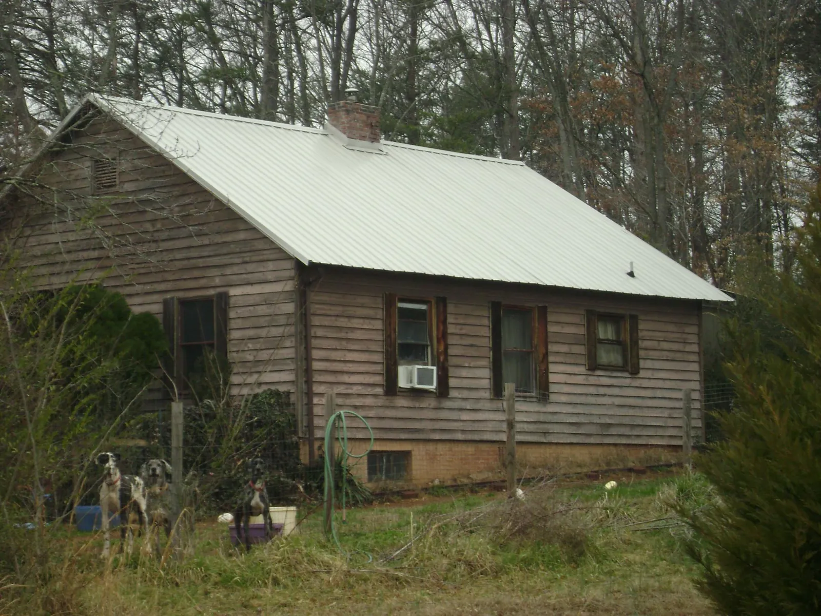 White metal roof on an old wood sided farmhouse, from a Asphalt Shingle Roof Repair job in Castro Valley